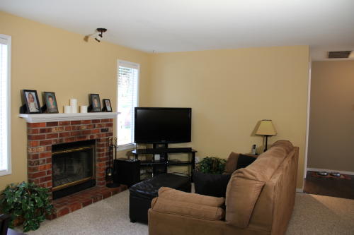 Lower level fireplace